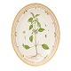 Royal Copenhagen Flora Danica ovalt serveringsfad 3517. L: 36cm. "Elsholtzia 
ceistata Willd."