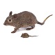 Wienerbronze i form af mus med unge. Stemplet. Mus L: 11cm. Unge L: 3cm